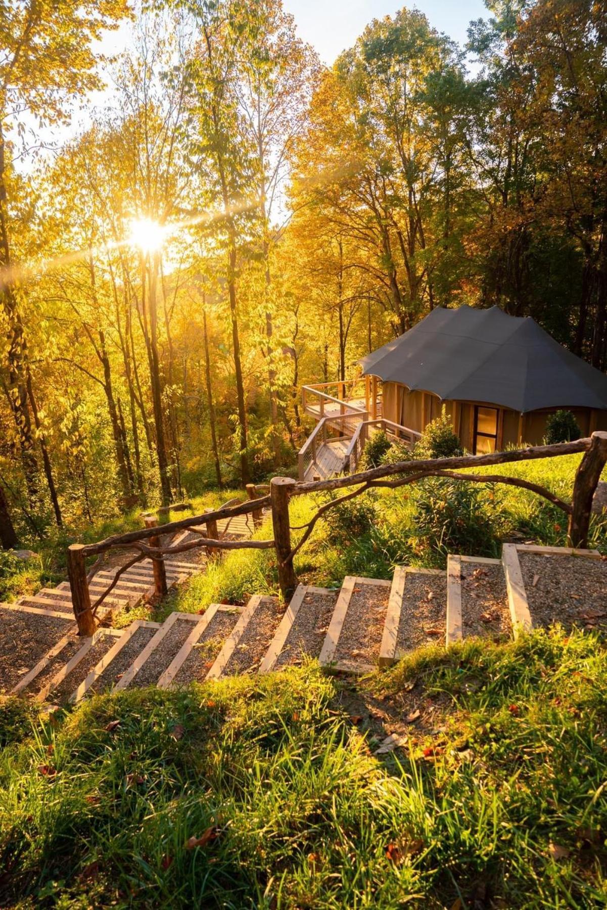 Elk & Embers Mountain Hideaway Hotel Waynesville Eksteriør billede